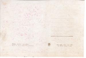 Луцк. Детская железная дорога