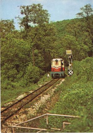 Будапешт. Пионерская железная дорога.