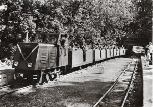 Пионерская железная дорога в Халле