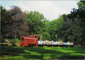 Тепловоз 6003 на парковой железной дороге в Хемнице